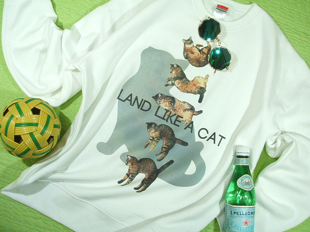 g[i[@XEFbg@sVc@L@lR̂sVc@LsVc@T-shirt Cat@LbgsVc