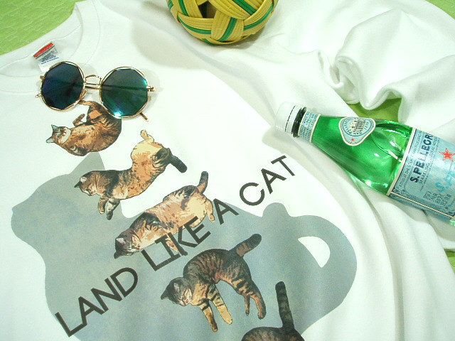 g[i[@XEFbg@sVc@L@lR̂sVc@LsVc@T-shirt Cat@LbgsVc