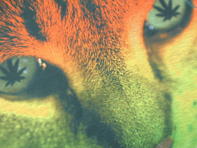 ���X�^�s�V���c�@���Q�G�s�V���c�@���C�I���s�V���c�@JUDA�g LION Tshirt