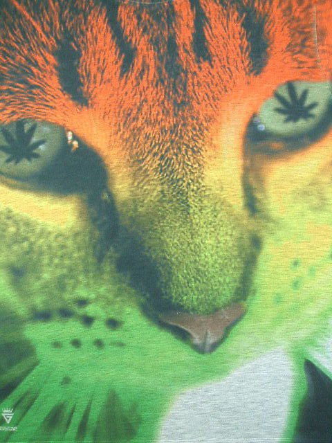���X�^�s�V���c�@���Q�G�s�V���c�@���C�I���s�V���c�@JUDA�g LION Tshirt