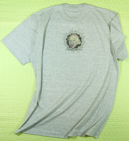 �A�C���V���^�C���̖���T�V���c�@���ΐ����_�@���nT�V���c�@���b�Z�[�W�@��̊��@�A�C���V���^�C���s�V���c�@��o���A�C���V���^�C���@�����@�a�����@Albert Einstein T-shirt