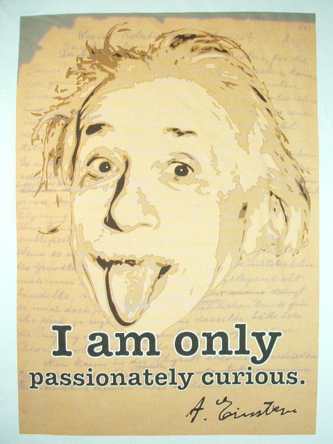 oACV^CsVc@傫TCY@LOTCY@2XL 3XL@AxgEACV^ĈsVc@ΐ_@E-MC2@Albert Einstein T-shirt